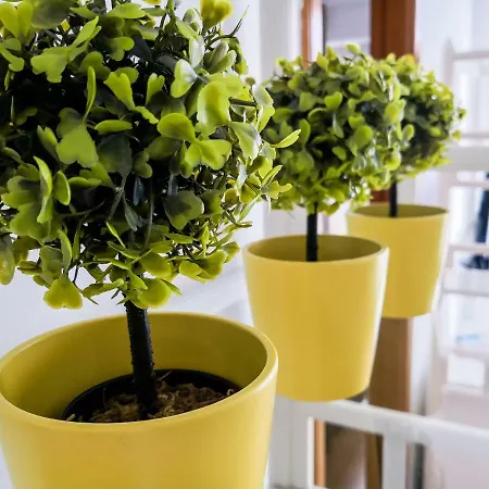 Camel's Spring Club Apartament