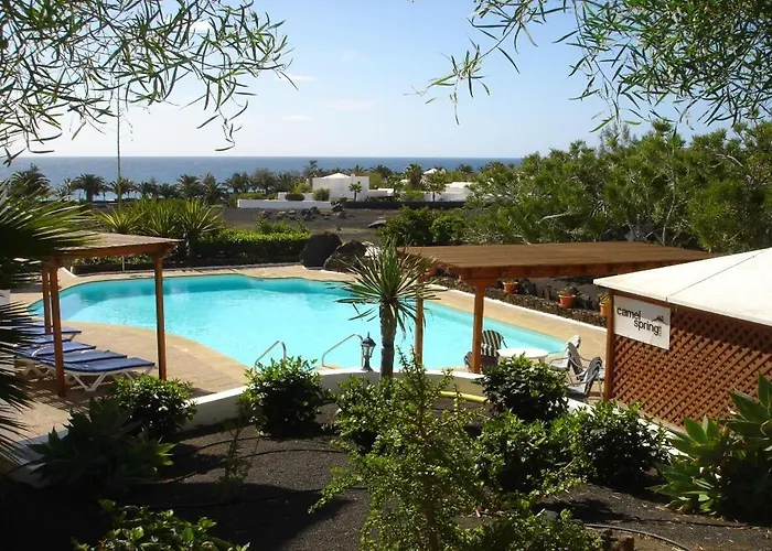 Camel's Spring Club Costa Teguise