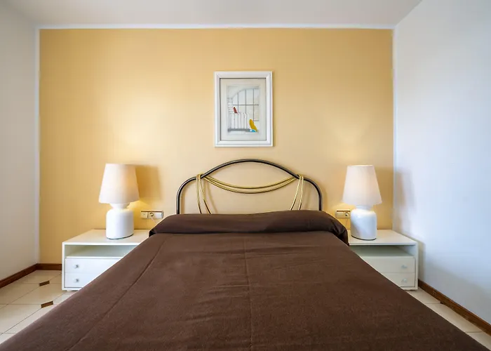 Camel's Spring Club *