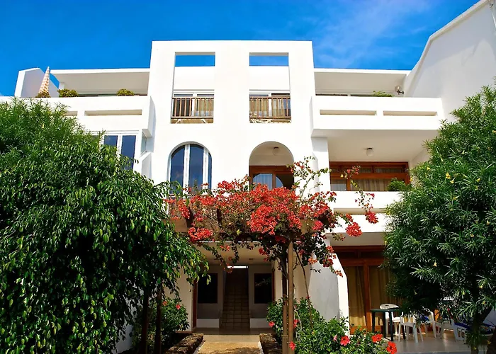 Camel's Spring Club Costa Teguise