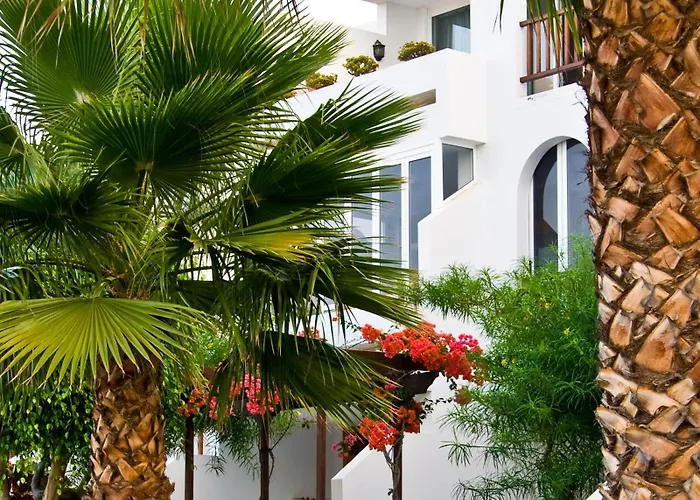 Camel's Spring Club *