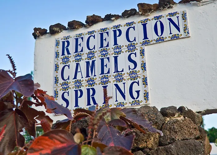 Camel's Spring Club *