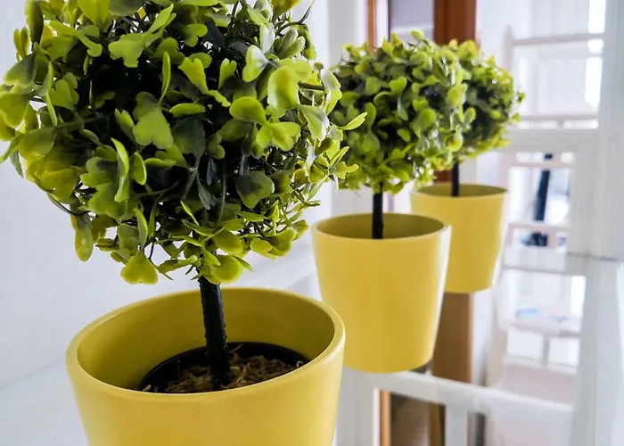 Camel's Spring Club Appartement