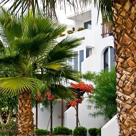 Camel's Spring Club *