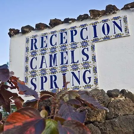 Camel's Spring Club *