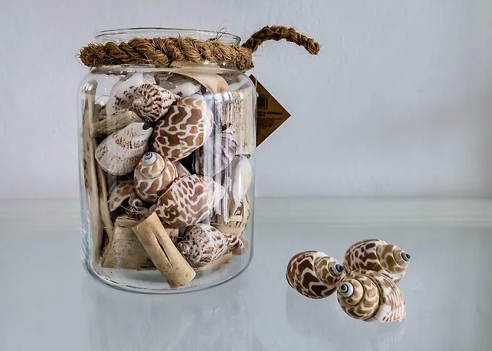 骆驼温泉俱乐部酒店 * 科斯塔特吉塞